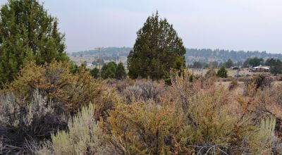Huge Views of the Sprague River Valley