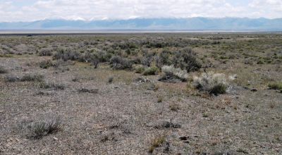 Crescent Valley Nevada - 4+ acre Residential building parcel - Mobiles, Modulars allowed