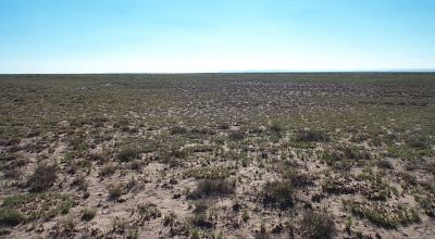 Camp * RV * Build in the Arizona desert. Near Petrified Forest and Painted Desert
