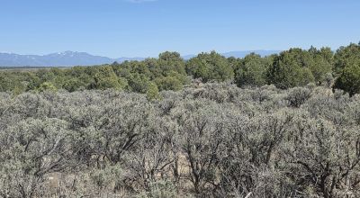 Taos County - Tres Piedras New Mexico 1 acre CAMP, RV, BUILD