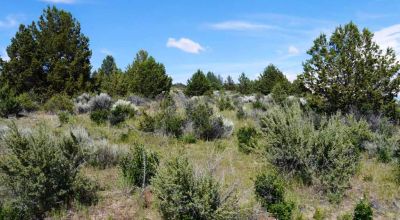 Corner Lot paved road * power, phone at road Huge Sprague River and valley views