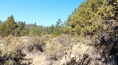 Sprague River Valley Views * Trees * Mobiles, modulars, site-builds ok