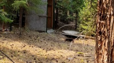 Heavily Forested property with incomplete steel pole metal roof shed/barn
