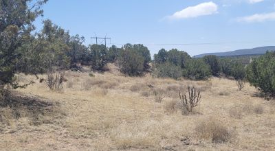 Surrounded by Santa Fe National Forest - Near Las Campanas and Golf Course - 8 Miles from Santa Fe