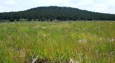 2.62 Acres on the Sprague River