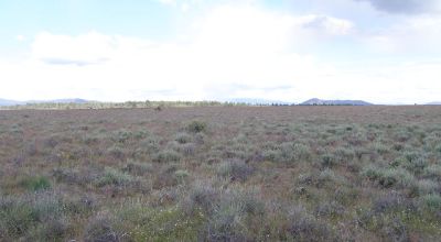 Scenic Oregon 160 acres wide open spaces