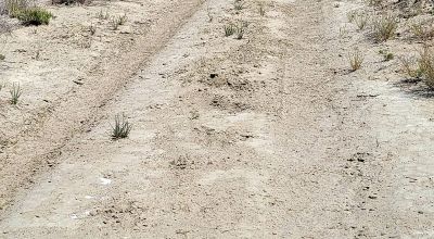 1 Full Section of  Nevada Desert & SAND HILLS  *  1 mile by 1 mile *