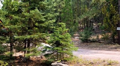 Heavily Forested property with incomplete steel pole metal roof shed/barn
