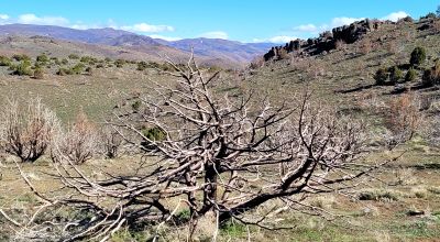 Mountain Land South of Pyramid Lake - Rock Outcroppings - Views Overlooking Palomino Valley