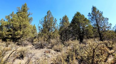 Sprague River Valley Views * Trees * Mobiles, modulars, site-builds ok