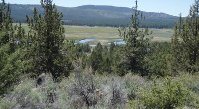 2 adjoining lots with wide open views of Sprague River and Valley