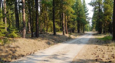 3 adjoining Lots - Trees Trees Trees - Quiet and Seclusion