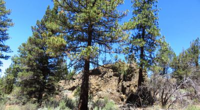 Southerly facing with Unique Rock Formations and trees