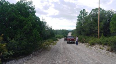 Timberon Residential Building Lot  1+ acre Trees - Corner Lot