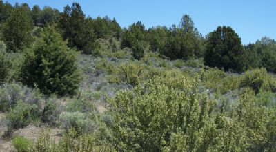 Sprague River Valley Views * Site builds, Mobiles, Modulars allowed