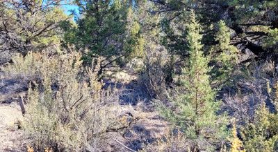Sprague River Valley Views * Trees * Mobiles, modulars, site-builds ok