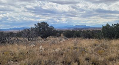 20 acres Scenic New Mexico Huge Southerly Views with Power at the Road