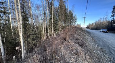 Residential Treed Parcel - Western Outskirts Wasilla Alaska - Backs to Open Space