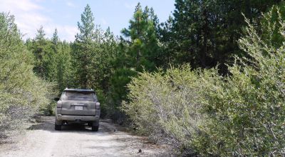 Forested Southern Oregon Property * Residential lot