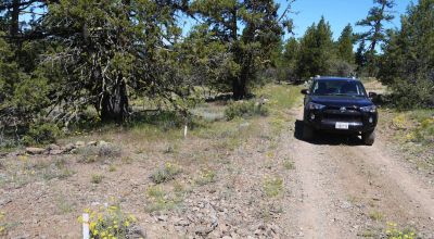 Heavily Treed * Huge Views To The West
