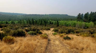 Private 481 acres - 3 sides Winema National Forest - Cooks Canyon - Pines Aspens Spruce Firs