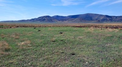30 acres East of Manassa Colorado - No restrictions
