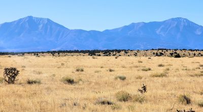Sunny Mountain Backdrop in the High Desert Near Walsenburg, Colorado