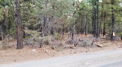 Forested Lot  Camp * RV * Build