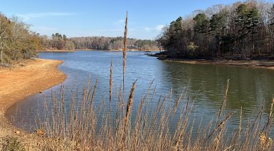 Lake Hartwell 1/2 acre Lakeside Build Lots