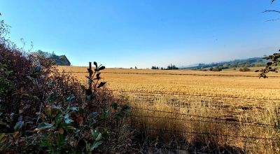 Huge Views - Bowl type setting - End of cul-de-sac near Henzel Park & Agency Lake