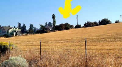 Huge Views - Bowl type setting - End of cul-de-sac near Henzel Park & Agency Lake