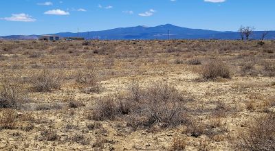 Ambrosia Lake area - 4 adjoining 1 acre parcels - Camp RV Build RV - Scenic desert views