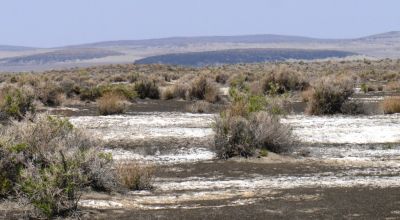 Classic Nevada Desert - Just off Hwy 95