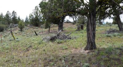 20 acres Oregon Forested Mountain land  near Lakeview & Drews Gap Summit