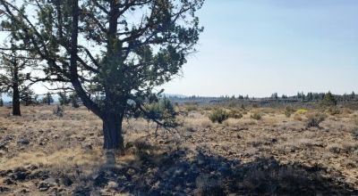 Remote Oregon wilderness. On Mesa near the Rim