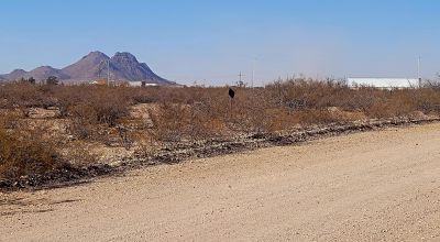 Columbus New Mexico 2 adjoining undeveloped town lots
