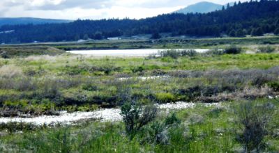 2.62 Acres on the Sprague River