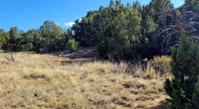 Treed Parcel - Arroyo at Back Property Line - Views - Near 2 Lakes