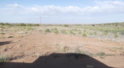 Cove Acres - 3 adjoining 1/2 acre parcels - 6 miles from Roosevelt