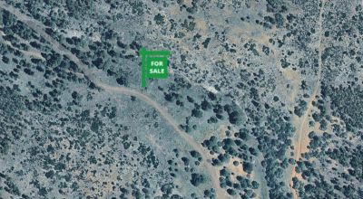 Rare! 20+ Acres Treed Mountain Parcel East Side Manzano Mountains