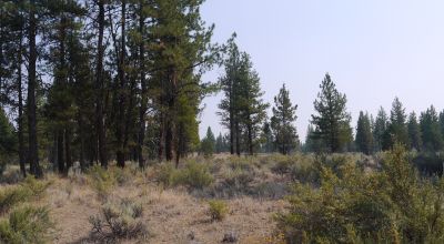 Southern Oregon property. Power at road.