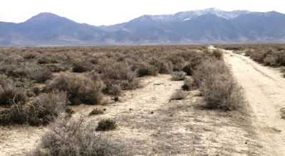2 adjoining 80 acre parcels * Dolly Varden