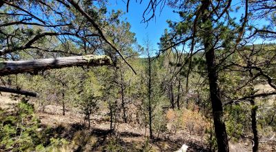 Huge South-Westerly Views - 35 miles south of Cloudcroft New Mexico
