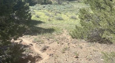 Own 3.44 Acres of Amazing Land in Huerfano, Colorado!