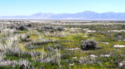 Wide open Spaces 40+ acres - Crescent Valley NV - Camp Rv Build Mobiles Modulars RV