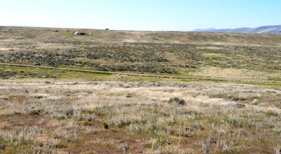 80 acres of Rolling Hills  only $49,000