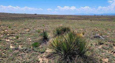 Bring Your Horses - Nearly Three Acres - Just East of Albuquerque - Large Acreage Properties
