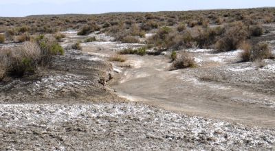 Classic Nevada Desert - Just off Hwy 95
