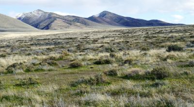 Private 43+ acres * Nevada Mini Ranch * with Massive Western Vistas