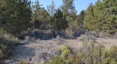 Sprague River & Valley Views * paved Access * Power